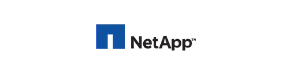 Netapp partner